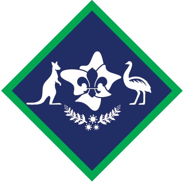 Scout Award